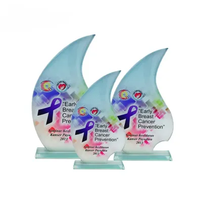 Exclusive Crystal Glass Awards 8224