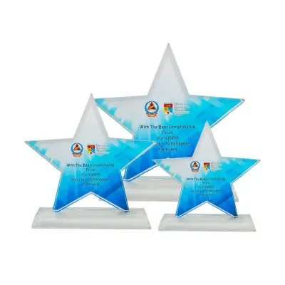 Exclusive Crystal Glass Star Awards 8256