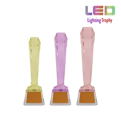 LED Lighting Trophy 8303