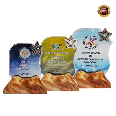 Exclusive Crystal Plaques 8315