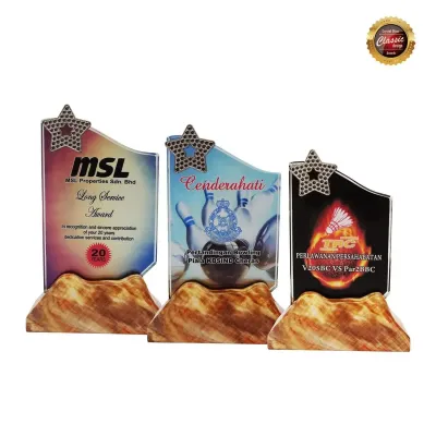 Exclusive Crystal Plaques 8322