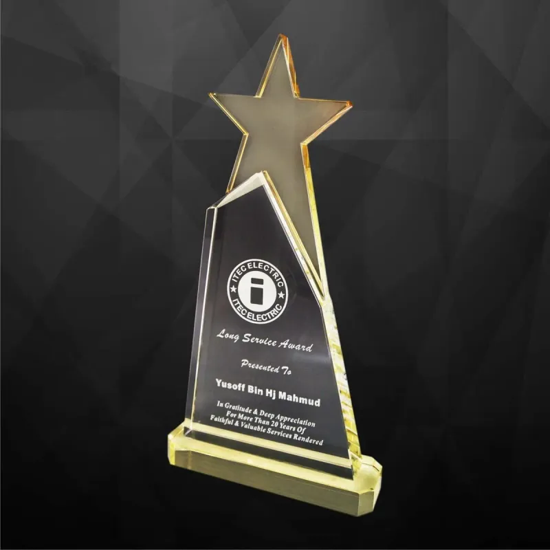 Exclusive Crystal Star Award 9119 product image