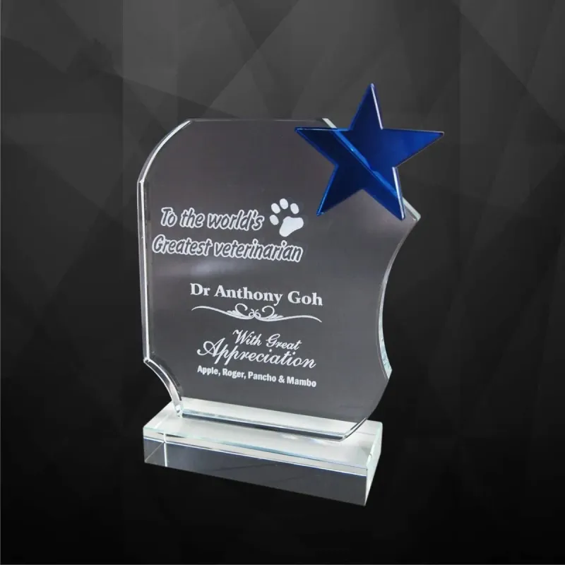 Exclusive Crystal Star Award 9129 product image