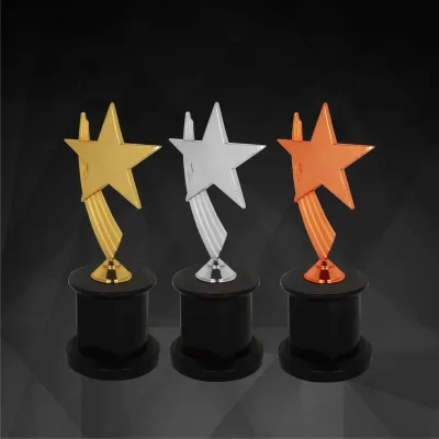 Exclusive Star Awards (GOLD, SILVER, BRONZE) 9147