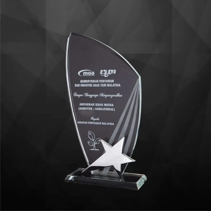 Exclusive Crystal Star Plaques 9168 product image