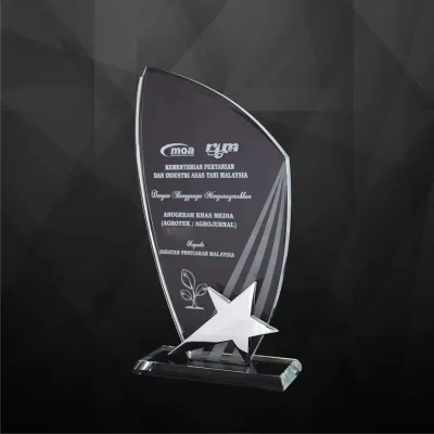 Exclusive Crystal Star Plaques 9168