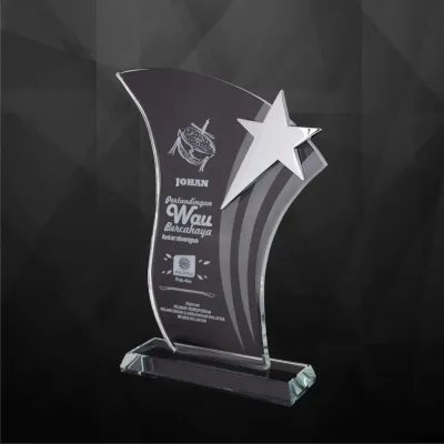 Exclusive Crystal Star Plaques 9169