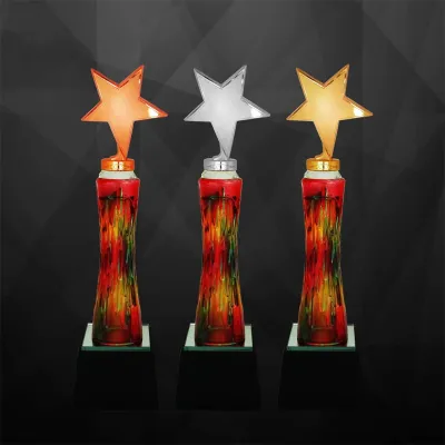Exclusive Star Awards (GOLD, SILVER, BRONZE) 9236