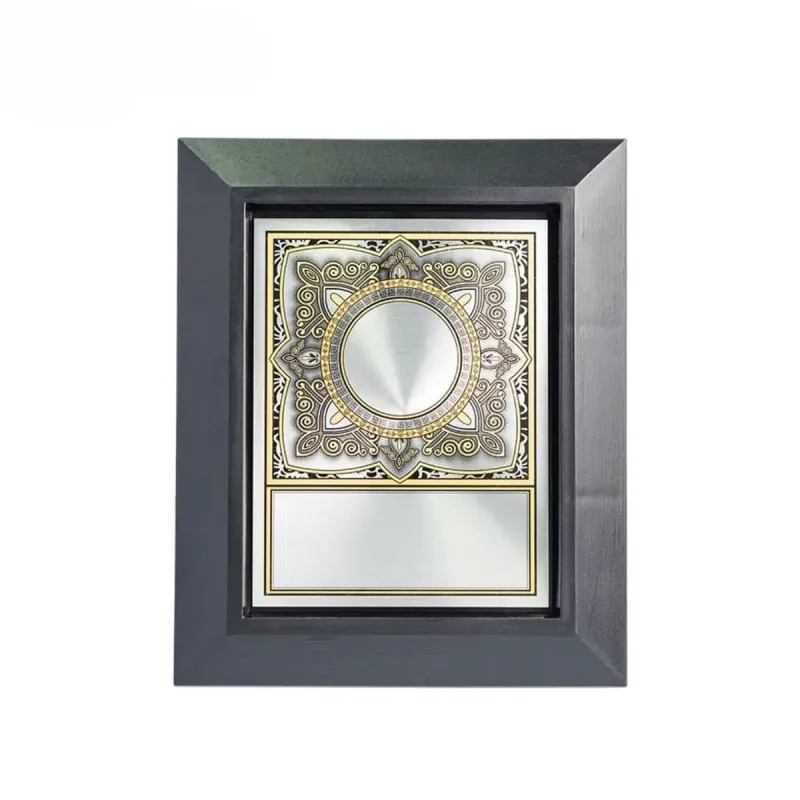 Plastic Plaque with Aluminum Plate EP629 acrylic plaques product image