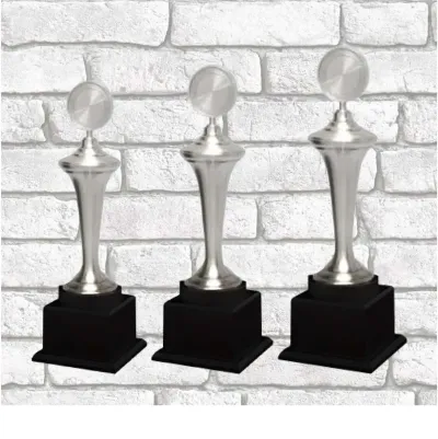 Exclusive Pewter Trophy F35