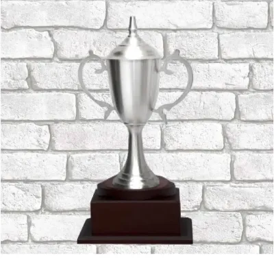 Exclusive Pewter Trophy F70