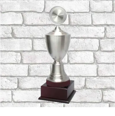 Exclusive Pewter Trophy FT3