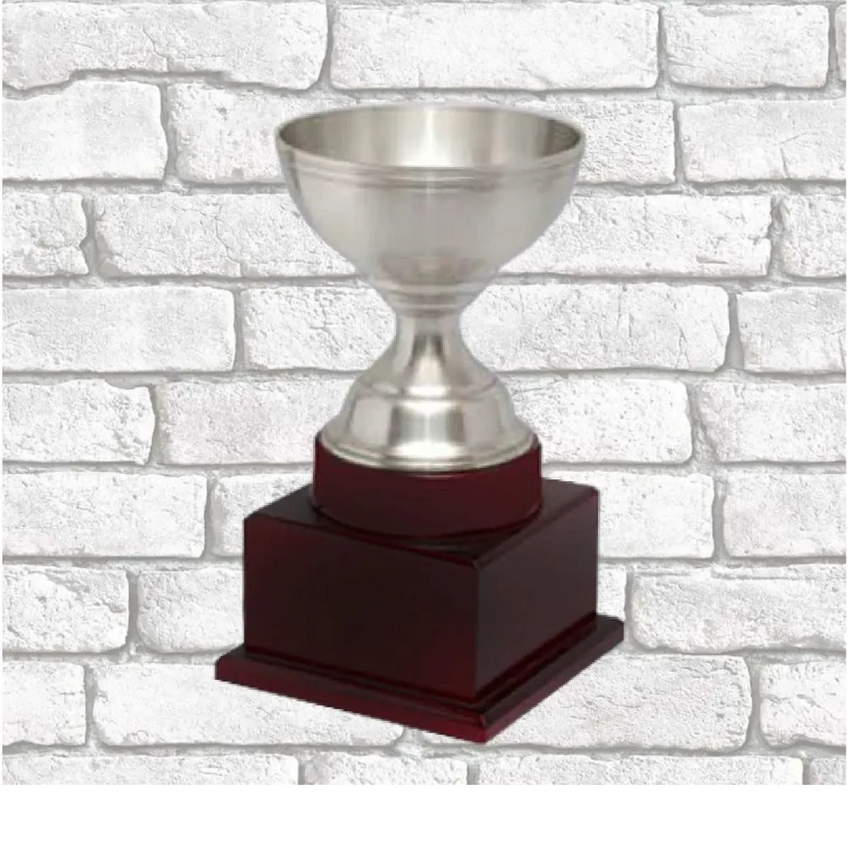 Exclusive Pewter Trophy S62
