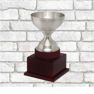 Exclusive Pewter Trophy S62