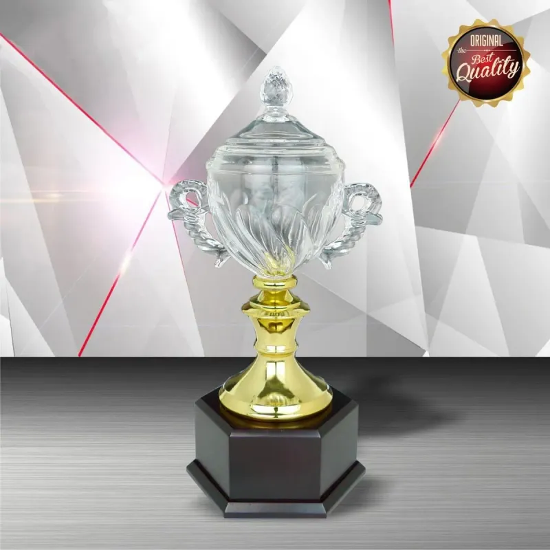 Exclusive White Silver Trophy with Crystal WS6101 product image