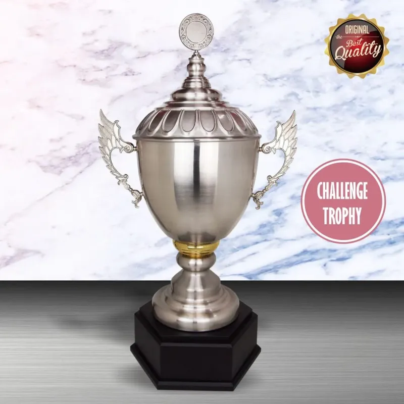 Exclusive White Silver Trophy (Challenge Trophy) WS6114 silver-finish metal white silver trophies product image