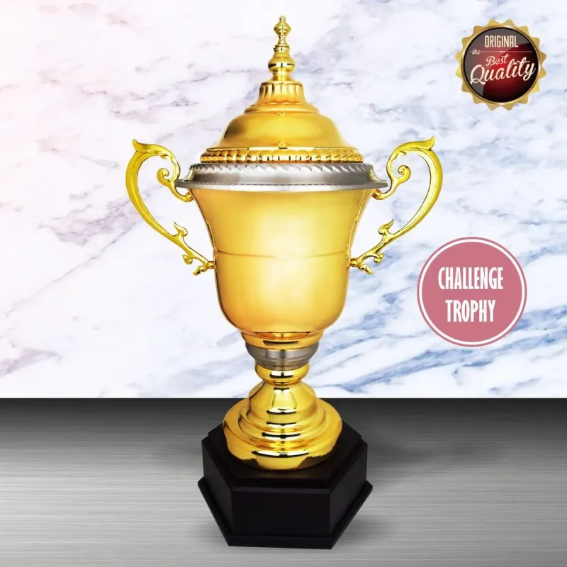 Exclusive White Silver Trophy (Challenge Trophy) WS6120 silver-finish metal white silver trophies product image