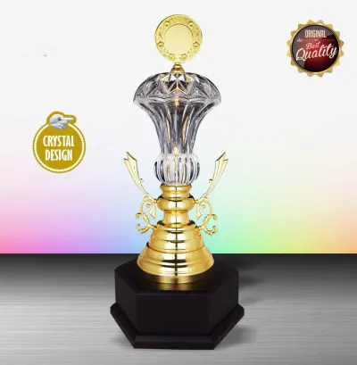 Exclusive White Silver Trophy with Crystal WS6140