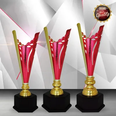 Exclusive White Silver Trophy WS6166