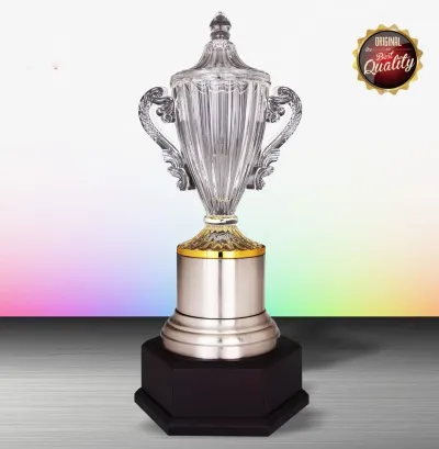 Exclusive White Silver Trophy with Crystal WS6177