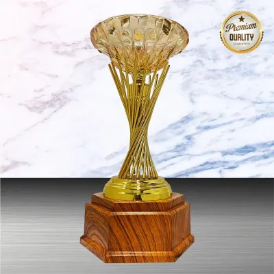 Exclusive White Silver Trophy WS6213