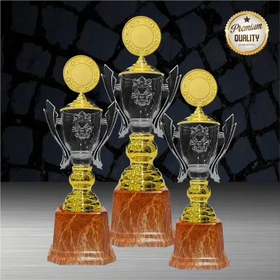 Exclusive White Silver Trophy WS6218